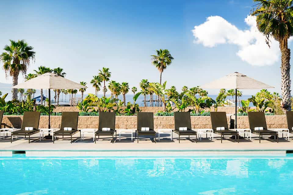 Pool area with white umbrellas, palm trees, and ocean view in background
