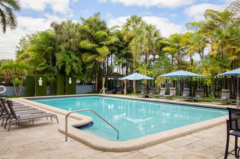 Resort swimming pool surrounded by tall palm trees, lounge chairs, and blue umbrellas