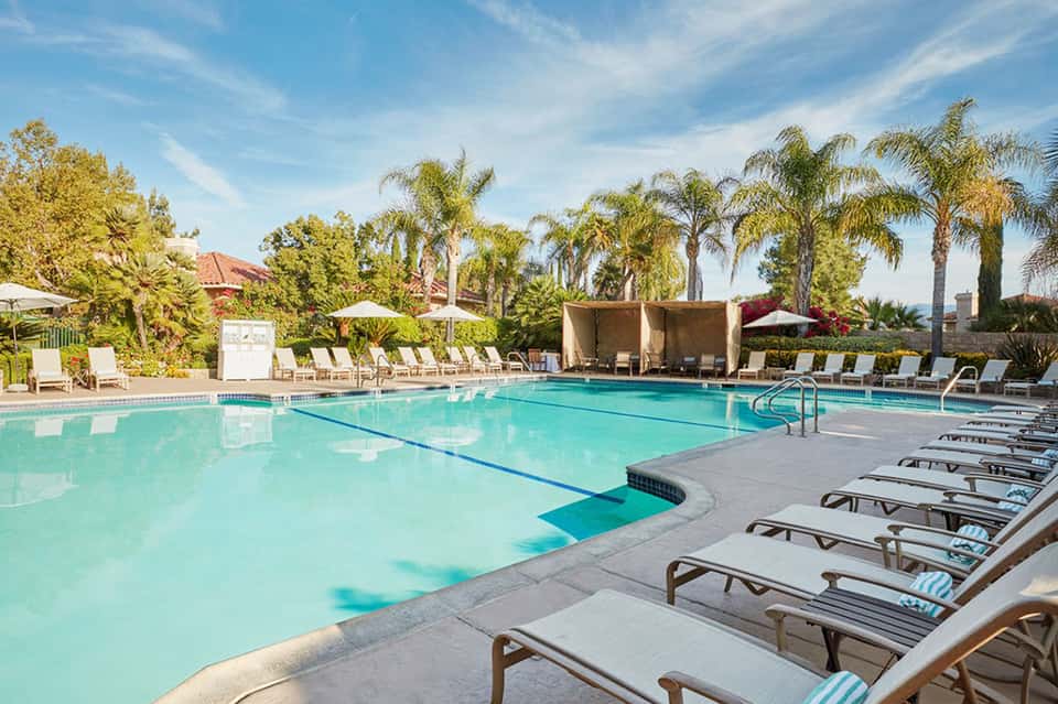 Resort swimming pool with lap lanes, lounge chairs, umbrellas, and mature palm trees