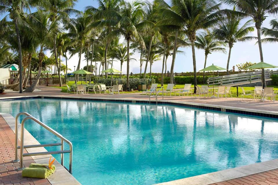 Olympic-sized pool with palm trees, lounge chairs, and green umbrellas along deck
