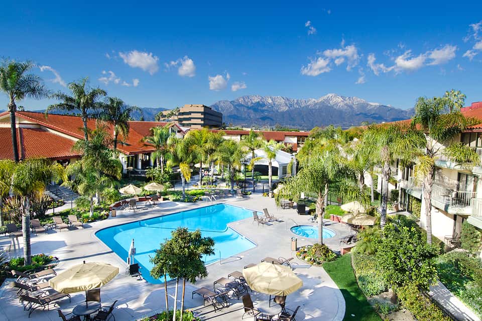 Resort pool with mountain views, palm trees, and lounge chairs in sunny setting