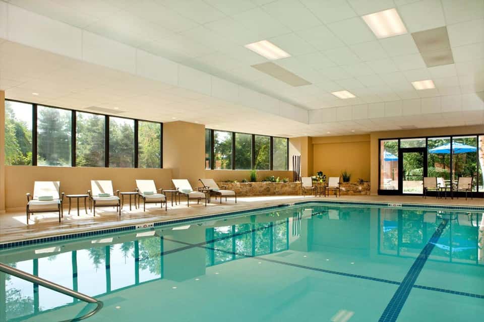 Indoor lap pool with lane markers, cream loungers, and large windows overlooking trees