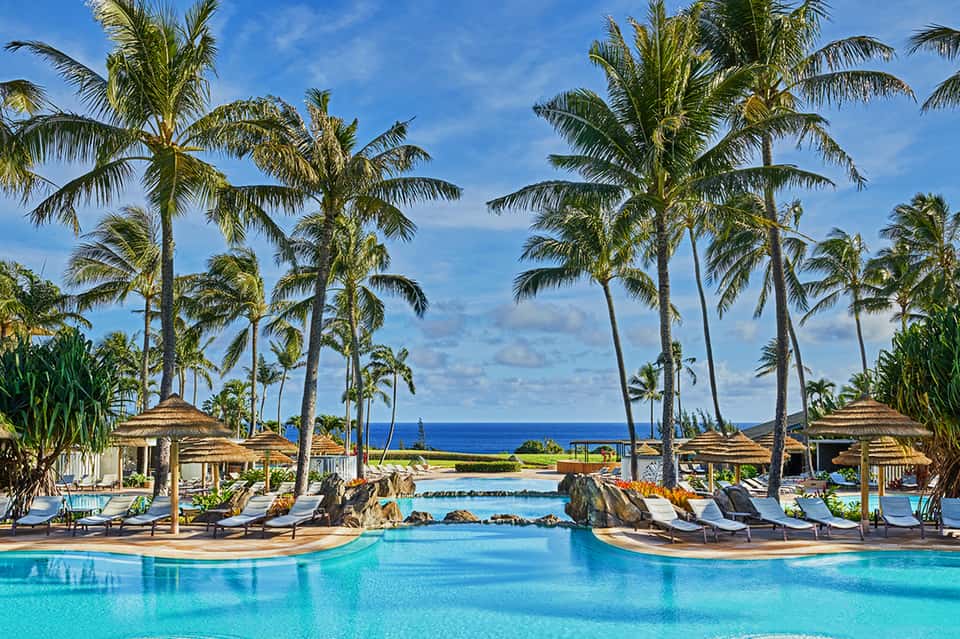 Tropical resort pool with palm trees, thatched umbrellas, lounge chairs, and ocean view