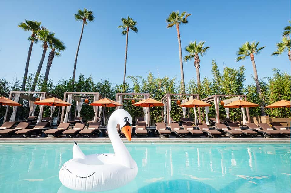 Resort pool with white swan float, lounge chairs, umbrellas, and palm trees