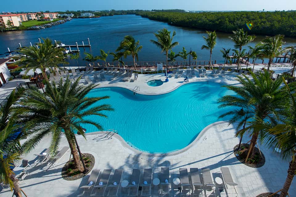 Curved turquoise resort pool with palm trees overlooking a waterway and mangrove forest
