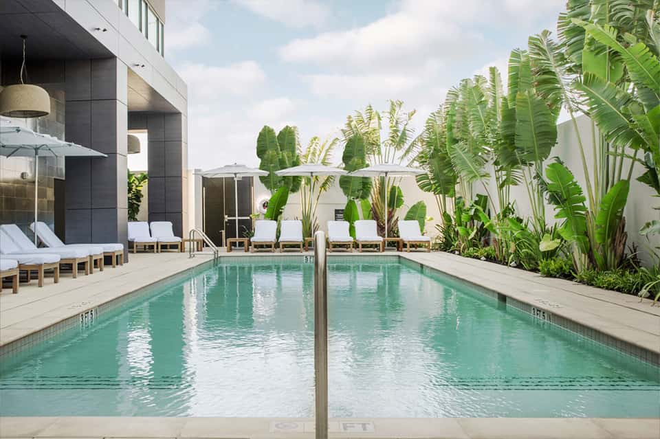 Contemporary resort pool with lounge chairs, banana plants, modern architecture, and clear turquoise water
