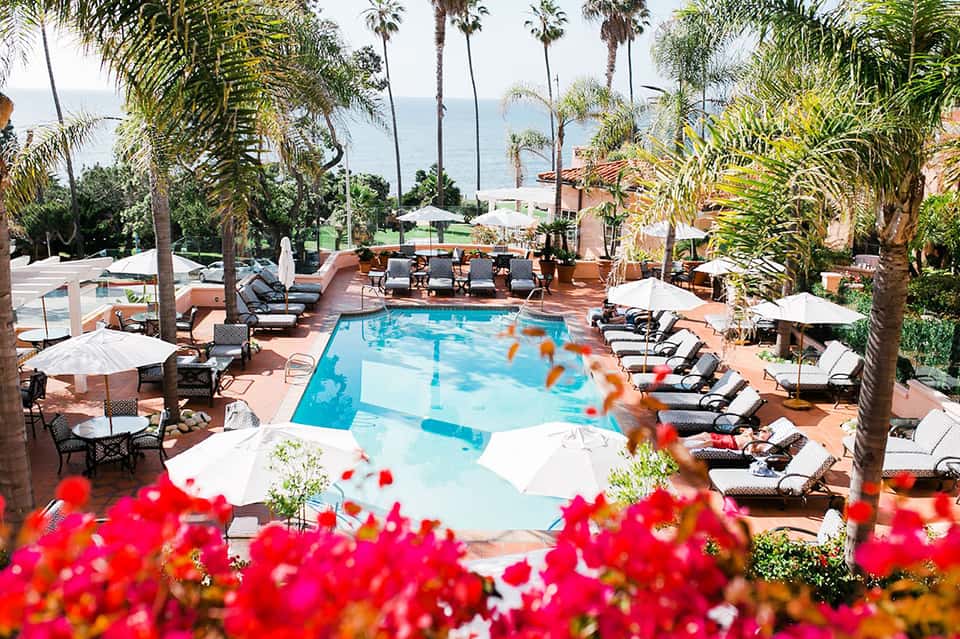 Aerial view of resort pool surrounded by palm trees, lounge chairs, and ocean view with red flowers