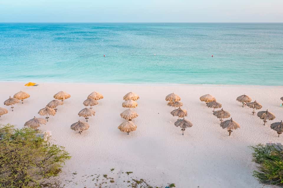 Aerial view of pristine beach with organized rows of thatched umbrellas and turquoise water