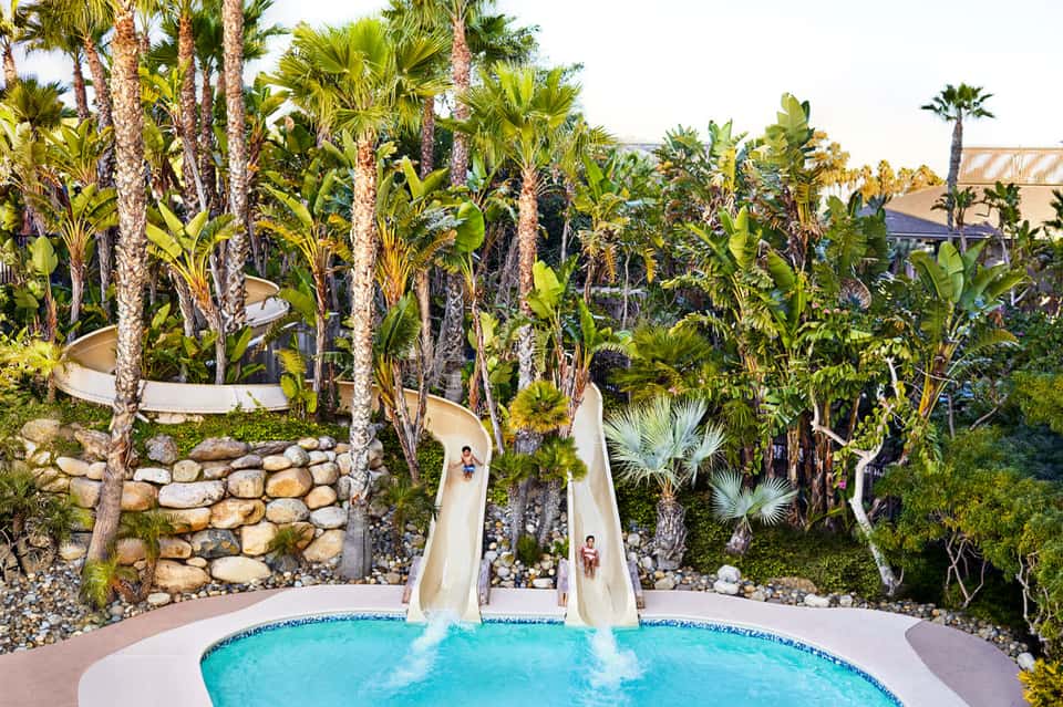 Water slides descending into turquoise pool surrounded by palm trees and tropical landscaping