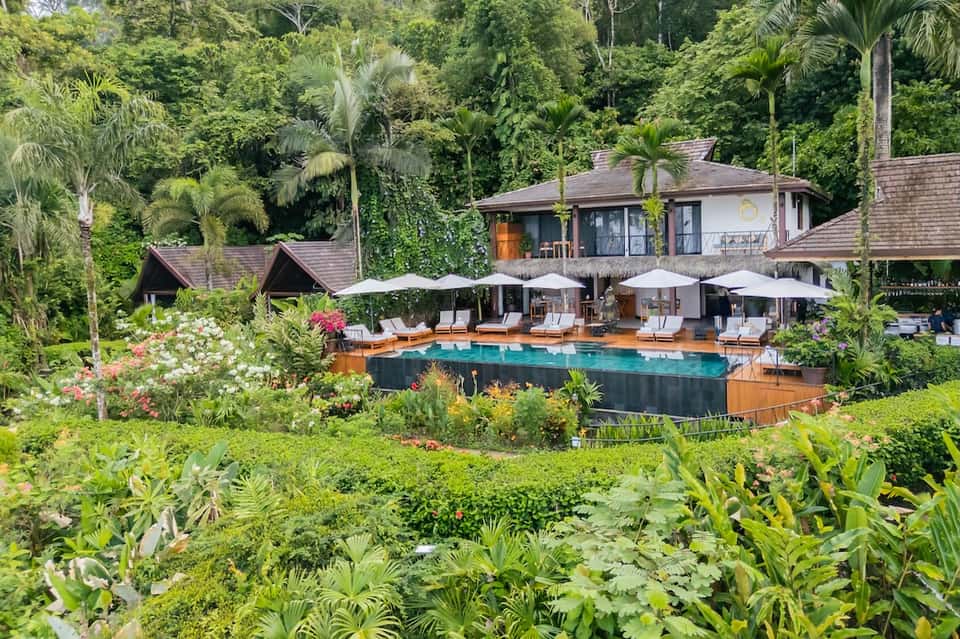 Luxury jungle resort with pool, palm trees, white umbrellas, and thatched-roof bungalows