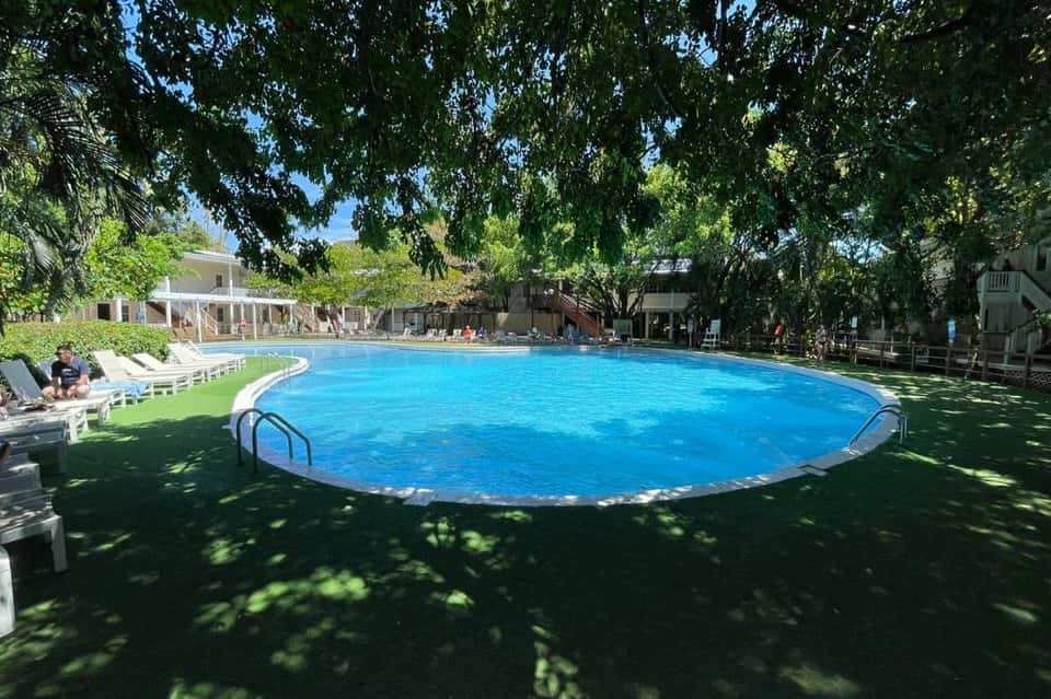 Outdoor swimming pool with blue cover surrounded by green lawn and trees