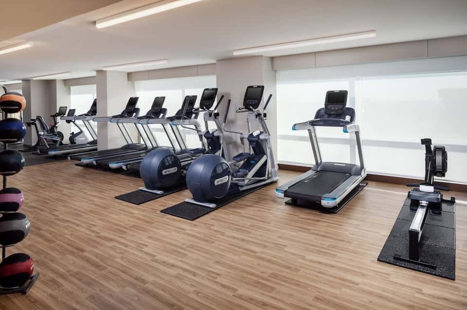 Bright fitness facility with rows of treadmills, elliptical machines, exercise bikes, and weights along windows