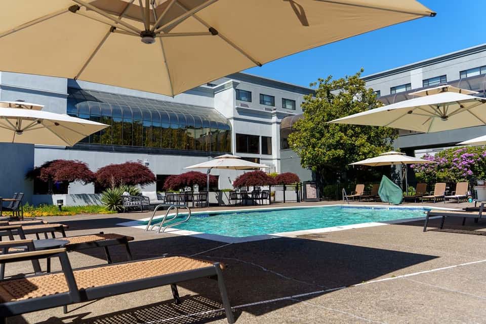 Outdoor swimming pool with tan umbrellas, loungers, modern building facade, and landscaped grounds