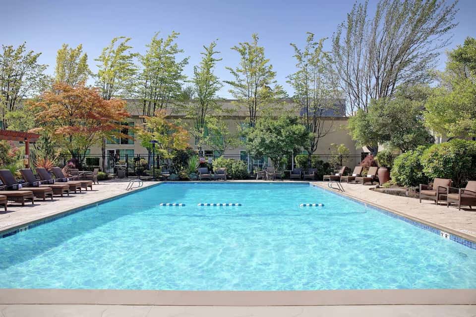 Outdoor resort pool with crystal-clear water, lounge chairs, landscaping, and tree-lined surroundings