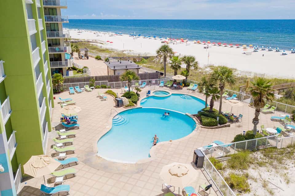 Beachfront resort with curved pool, palm trees, and ocean view with sandy beach and sunbathers