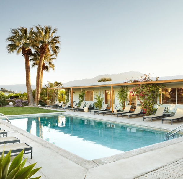 A vibrant pool scene with comfortable lounge chairs and tall palm trees, creating a relaxing tropical atmosphere.