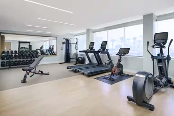 DoubleTree Beach Resort by Hilton Hotel Tampa Bay - North Redington Beach