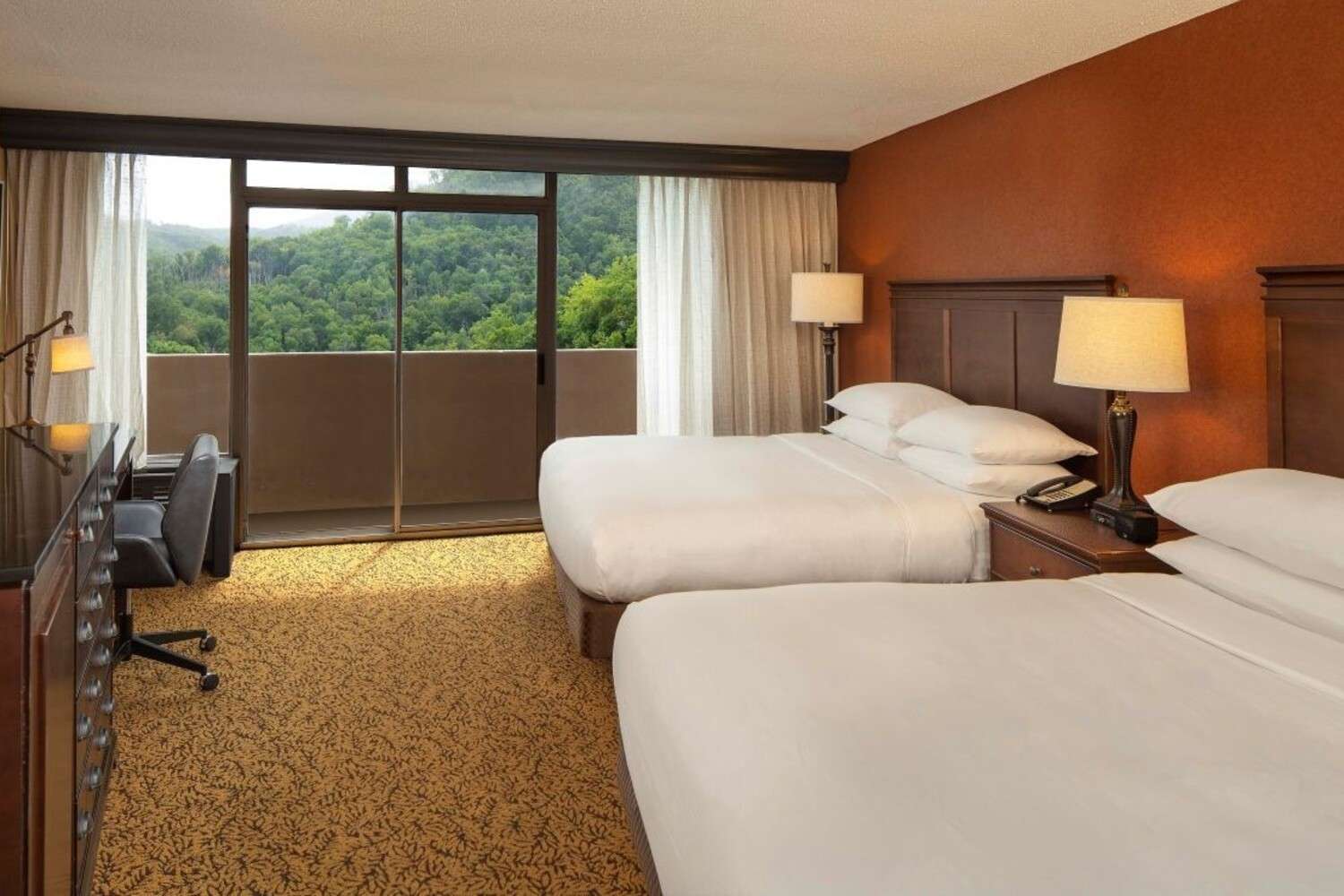 The Park Vista - a DoubleTree by Hilton Hotel - Gatlinburg