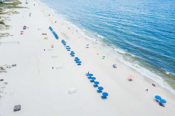 Hilton Garden Inn Orange Beach Beachfront
