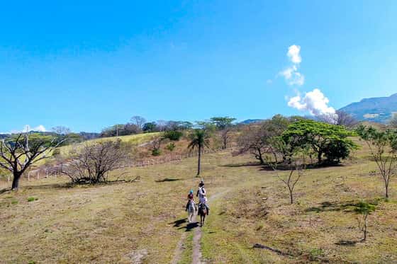 Borinquen Thermal Resort