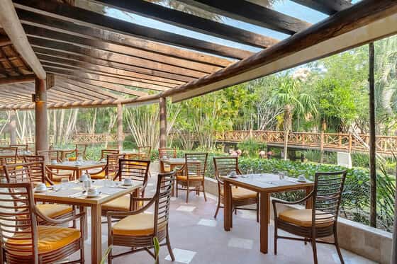 Iberostar Waves Cozumel - All Inclusive