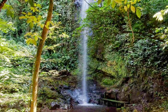 Borinquen Thermal Resort