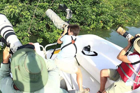 Gamboa Rainforest Resort