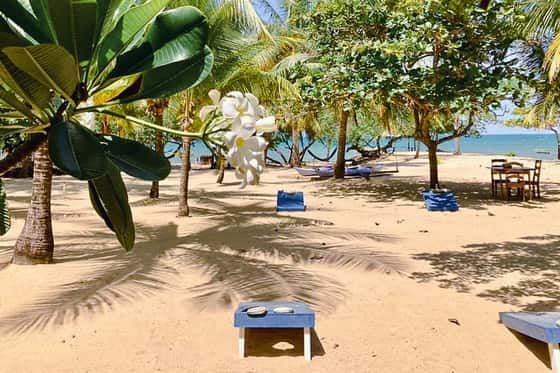 Lost Reef Resort