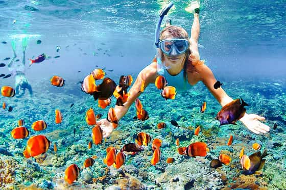 Lost Reef Resort