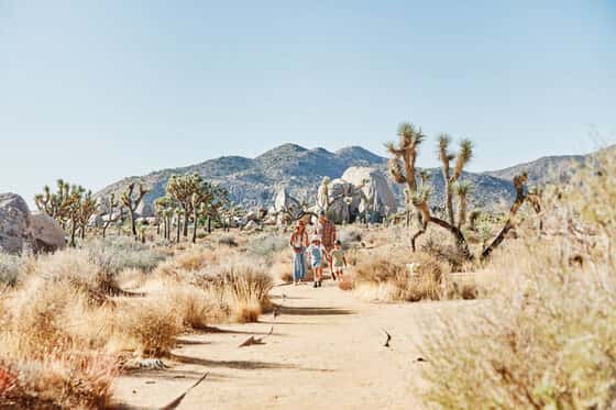 AutoCamp Joshua Tree
