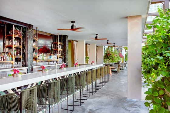 Baia Beach Club at Mondrian South Beach