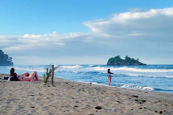 Cariblue Beach and Jungle Resort