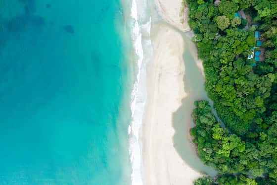 Cariblue Beach and Jungle Resort
