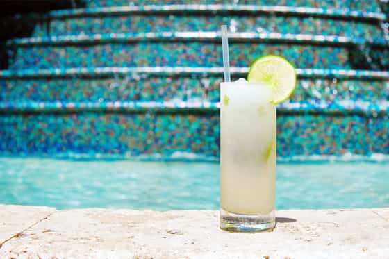 The Ritz-Carlton Coconut Grove, Miami