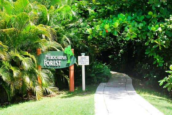 Wyndham Palmas Beach & Golf Boutique Resort