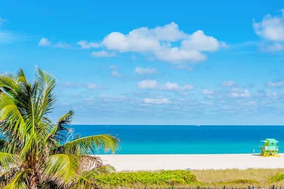 The Savoy Hotel & Beach Club