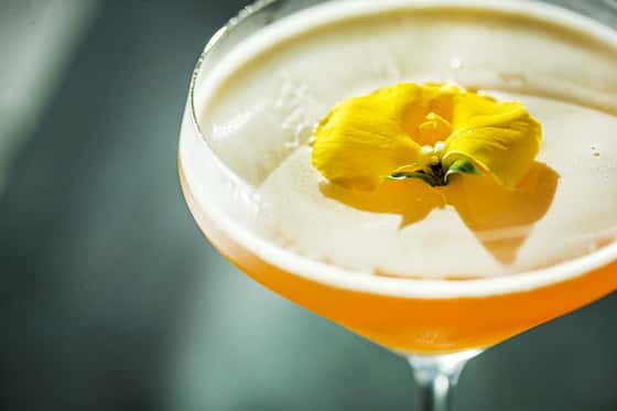 Condado Ocean Club - Adults Only