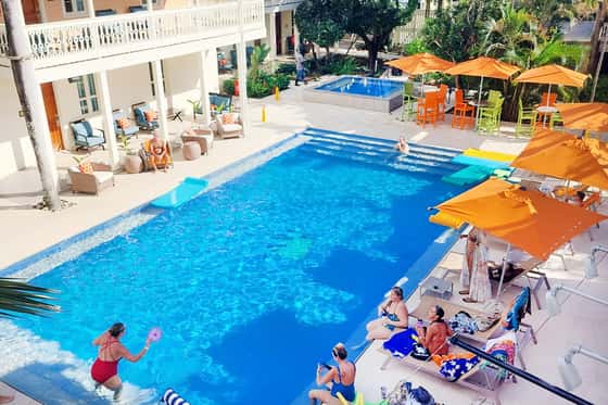 The Fred - Adults Only 