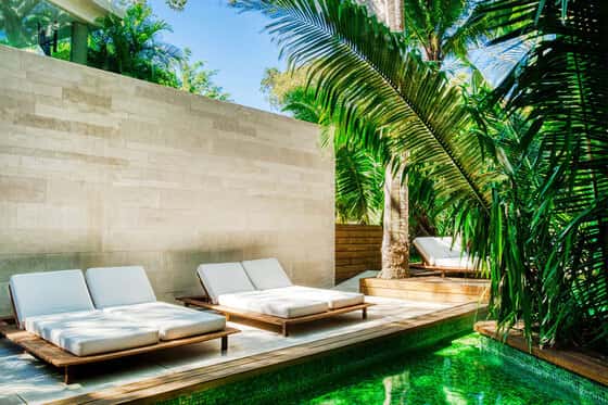 W Punta de Mita