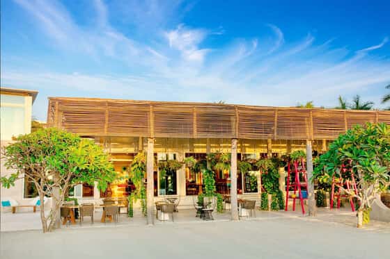 W Punta de Mita