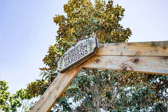 Napa Valley Marriott Resort
