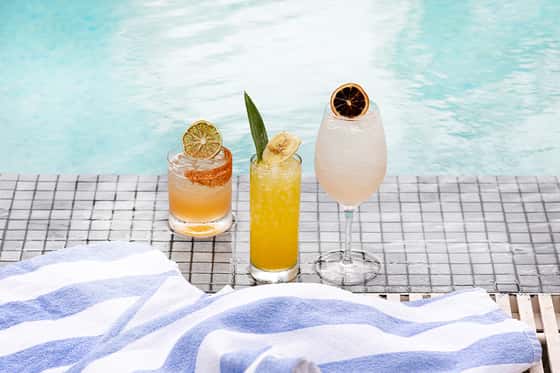 Melia Orlando Celebration