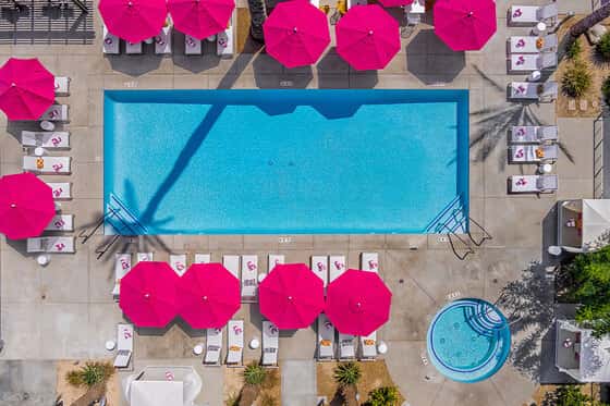 The Paloma Resort