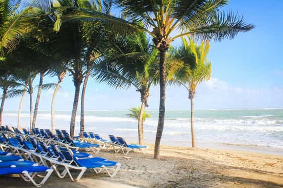 Viva Tangerine By Wyndham - All Inclusive