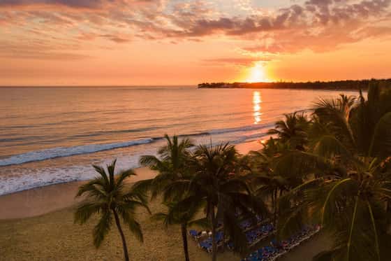 Viva Tangerine By Wyndham - All Inclusive