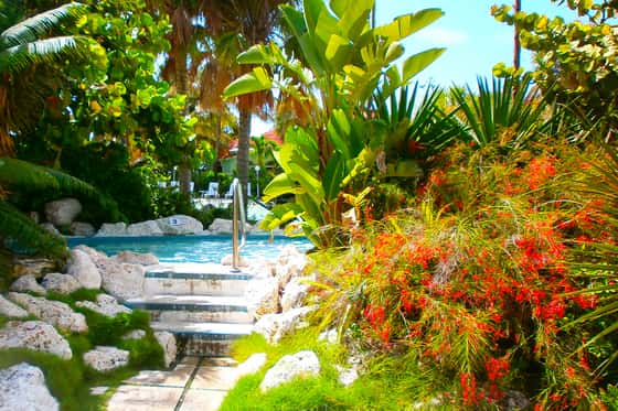 Taino Beach Resort & Clubs