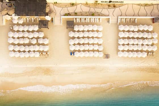 Casa Dorada Los Cabos Resort & Spa