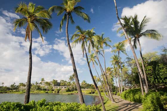 Waikoloa Beach Marriott Resort & Spa