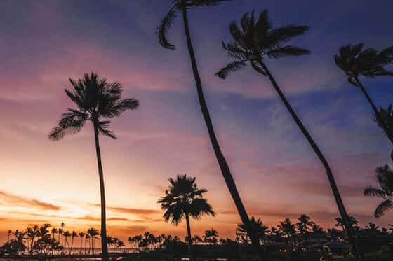 Waikoloa Beach Marriott Resort & Spa
