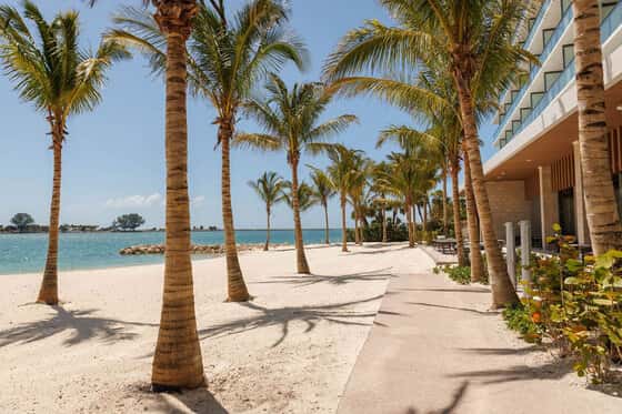 JW Marriott Clearwater Beach Resort & Spa